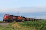 CP 8171 BNSF 9006